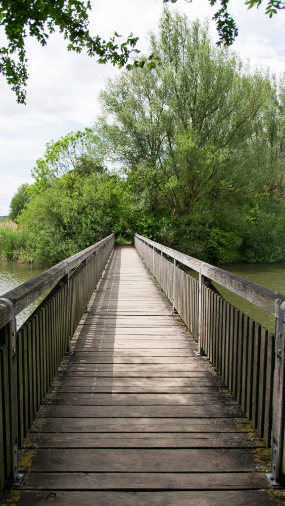 Vogelinsel Altmühlsee Holzbrücke