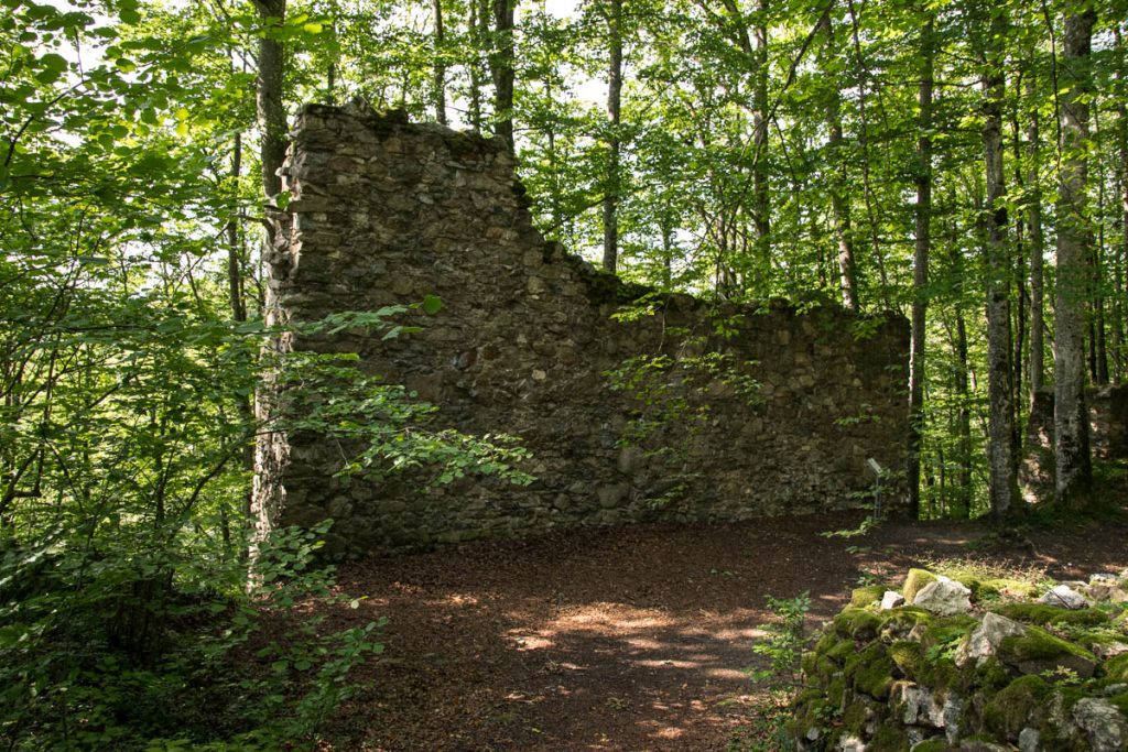 Ruine Wildbachklamm Wanderweg