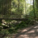 Klamm-Wandern Bayerischer Wald: Saußbachklamm